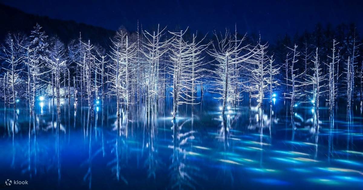Optional Snowmobile Experience | Hokkaido Winter Illumination Tour